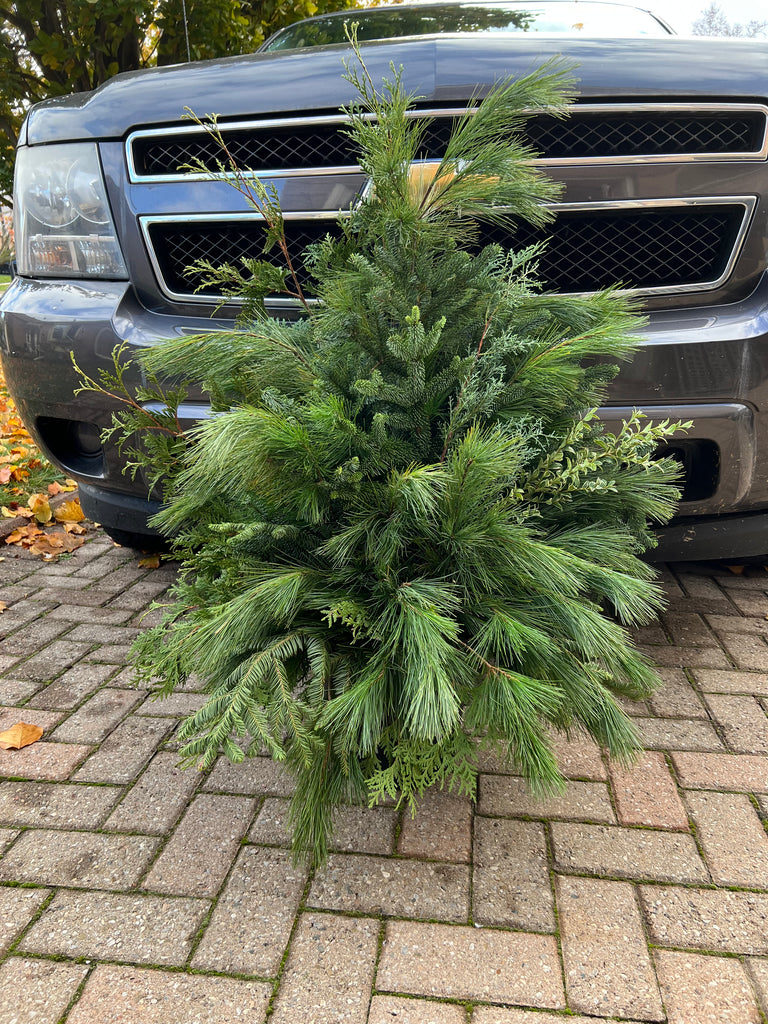 Winter Green Outdoor Urns